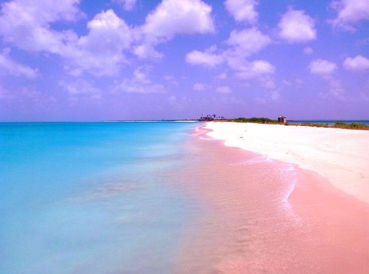 pink beaches of Barbuda Caribbean