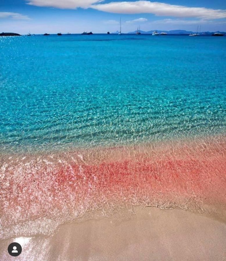 Playa de Ses Illetes