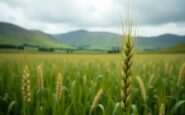 Farmers protesting against budget changes affecting agriculture