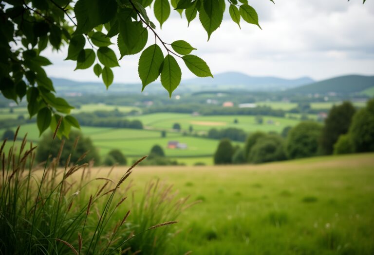 Impact of Fireworks on Aberdeenshire Deer