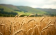 Farmers implementing innovative techniques in Scotland