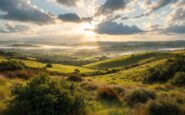 Wind turbines in rural Scotland facing local challenges