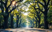 Major road closure in Aberdeen for tree removal