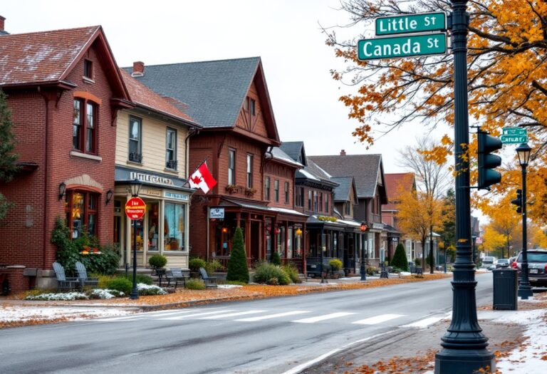 Elgin's Little Canada Neighborhood Overview