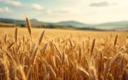 Farmers demonstrating in Aberdeen against tax changes