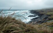 Travel disruption in Orkney due to severe weather warning