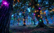 Enchanting winter light display at Landmark Forest Park