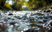 Ricerca delle sorelle scomparse nel fiume Dee