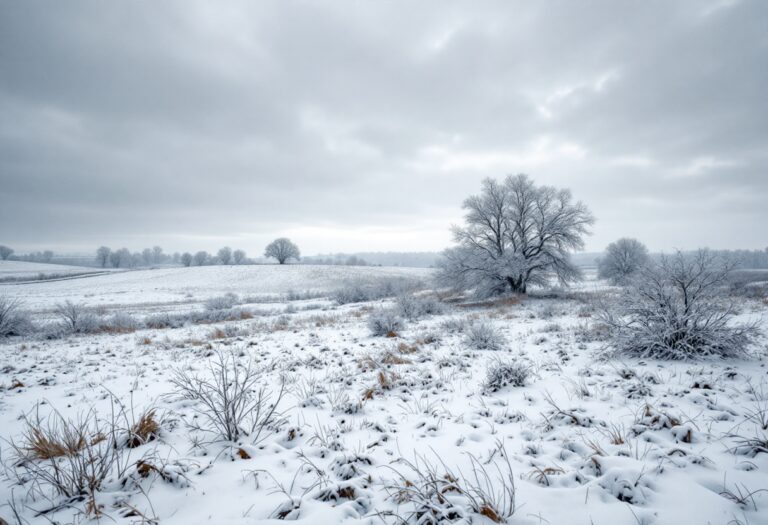 Royal Mail Delivery Challenges in Winter Weather