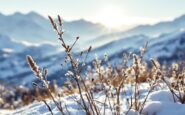 Snowfall in Britain due to Arctic blast weather